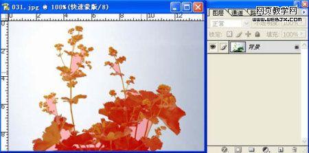 photoshop利用蒙版建立復雜的選區-網頁設計