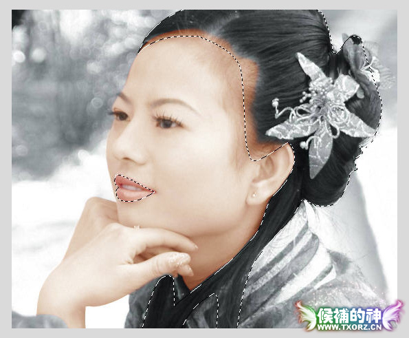 photoshop鼠繪教程:鋼筆工具上色教程_webjx.com