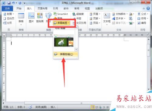 Word2010文檔中屏幕截圖功能插入圖片