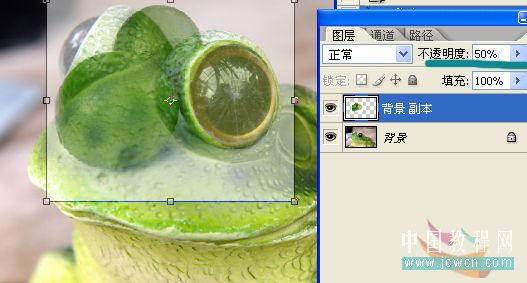 photoshop照片合成教程:變異的青蛙