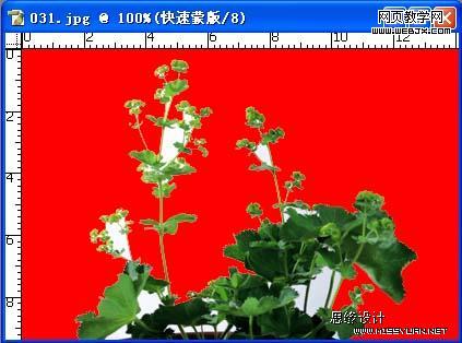 按此在新窗口瀏覽圖片