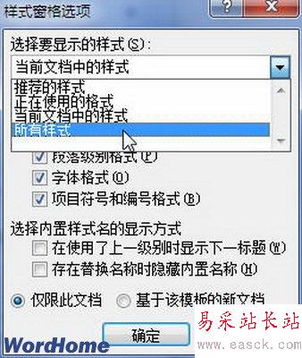 樣式窗格選項