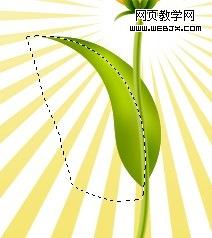 photoshop教程：繪制好看的花朵27