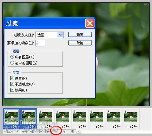 photoshop cs3教程：蜻蜓落荷花動畫