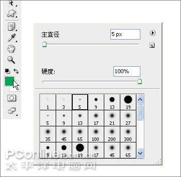 用photoshop鼠繪一支康乃馨