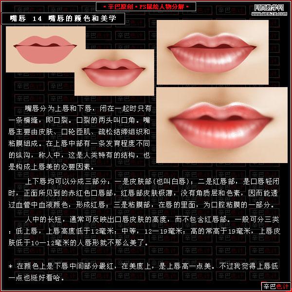 photoshop經典教程:鼠繪美女性感嘴唇_網頁設計