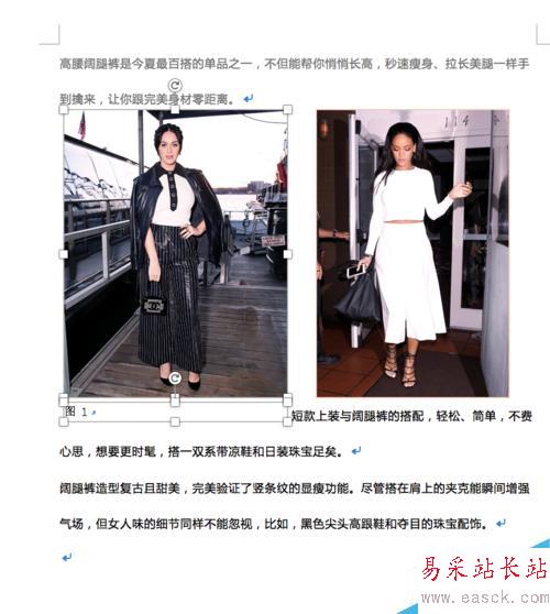 Word 插入圖片及排版