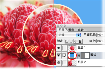 搜狐社區網友上傳圖片
