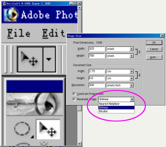 photoshop入門:理解位圖和矢量圖的不同_webjx.com