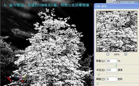 網頁設計webjx.com整理