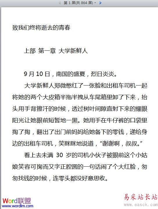 預覽效果