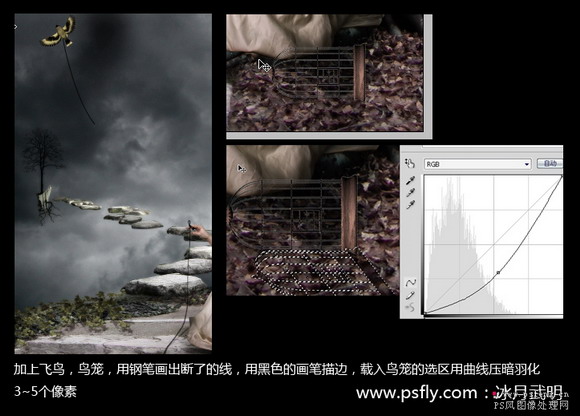 ps照片合成：光線樹樁人物場景合成