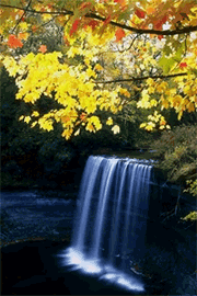 photoshop制作楓葉飄落的動畫風景_網頁設計webjx.com整理