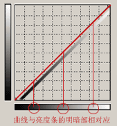 入門：圖文講解photoshop曲線的用法_webjx