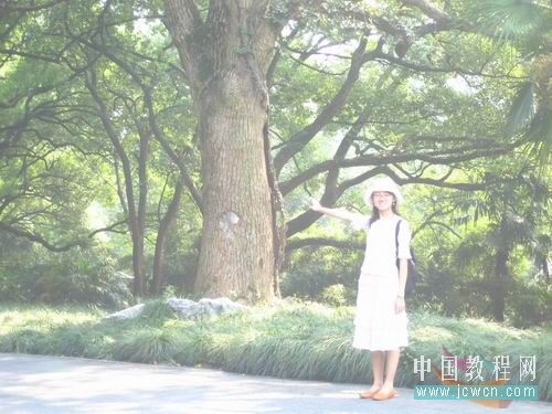 photoshop入門實例:曲線調照片色彩