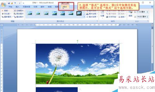 Word中如何對圖片進行裁剪