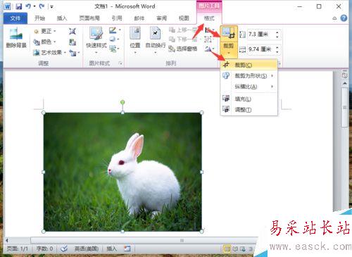Word2010刪除圖片背景實現局部提取怎么做