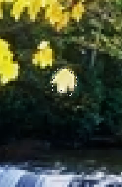 photoshop制作楓葉飄落的動畫風景_網頁設計webjx.com整理