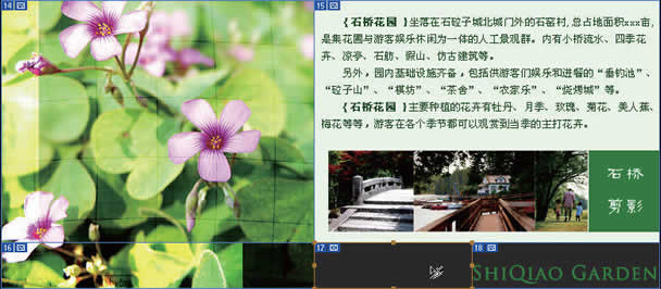 photoshop制作網站首頁(3):切割網頁圖片_網頁設計webjx.com轉載