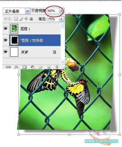 photoshop實例教程:打造照片立體環境效果-網頁設計