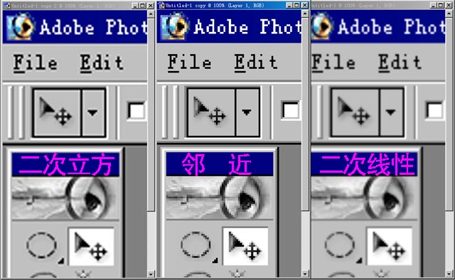photoshop入門:理解位圖和矢量圖的不同_webjx.com