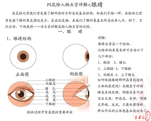 photoshop教程:詳解眼睛的鼠繪過程_webjx.com