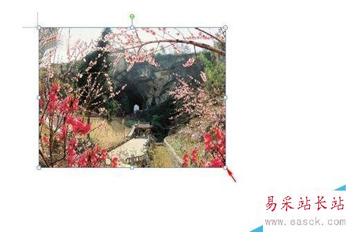 如何在word的圖片中嵌入文字