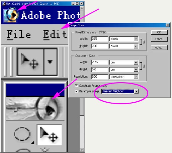 photoshop入門:理解位圖和矢量圖的不同_webjx.com