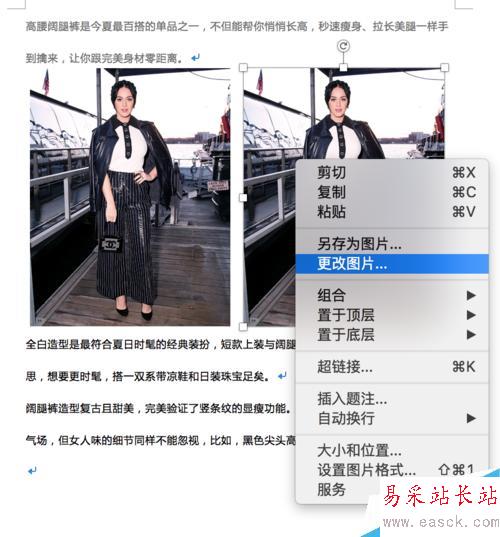 Word 插入圖片及排版