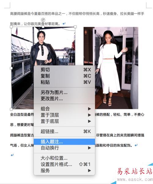 Word 插入圖片及排版