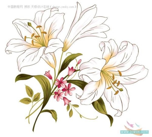 photoshop自定義卷曲花紋筆刷_網頁設計轉載教程