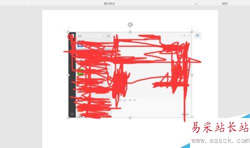 word 屏幕截圖功能