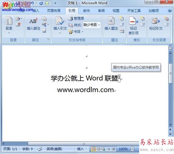 顯示腳注信息