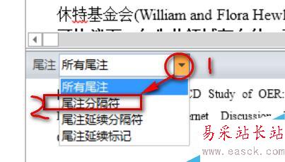 Word2013中如何刪除尾注上的橫線
