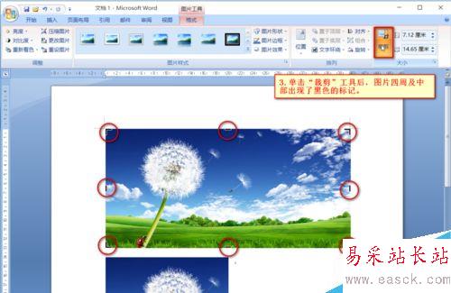 Word中如何對圖片進行裁剪