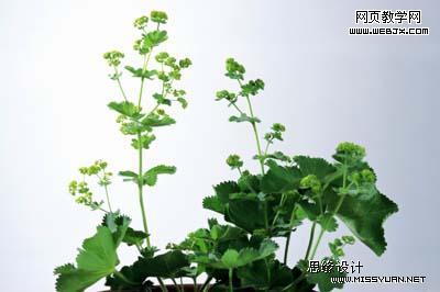 按此在新窗口瀏覽圖片