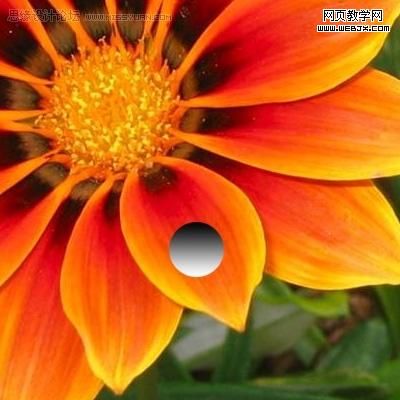 photoshop入門教程:繪制質感水珠_網頁設計