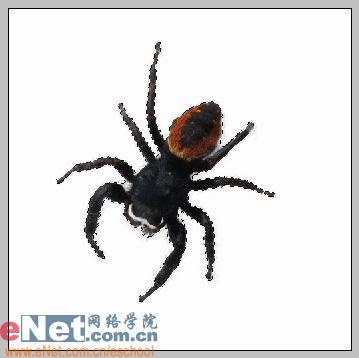用photoshop樣式打造晶瑩琥珀吊墜_網頁設計webjx.com整理(3)