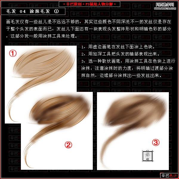 photoshop鼠繪教程:繪制真實的毛發_網頁設計