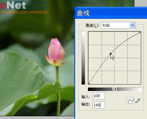 photoshop與ir打造荷花盛開動畫_網頁設計轉載