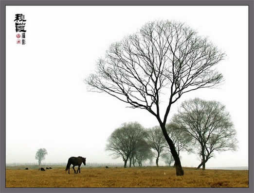 用photoshop打造照片仙境晶瑩之美