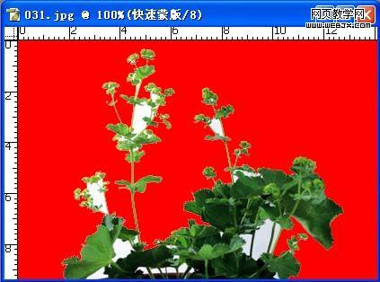 photoshop利用蒙版建立復雜的選區-網頁設計