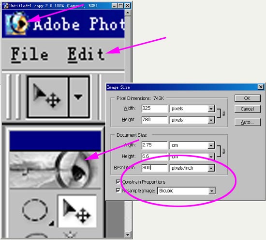 photoshop入門:理解位圖和矢量圖的不同_webjx.com