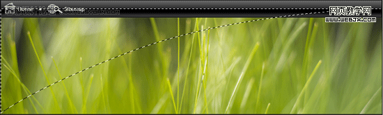 photoshop簡單規劃vista風格網站首頁布局-webjx.com