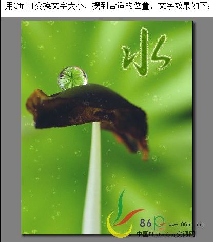 photoshop創意設計：生命之源海報