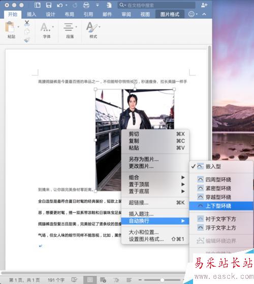 Word 插入圖片及排版