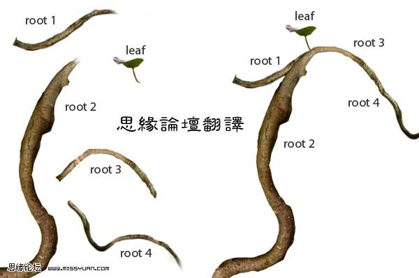 photoshop照片合成:樹妖纏身的女孩_webjx.com