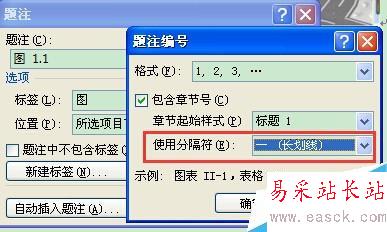 word操作：在word中怎樣實現圖表自動編號