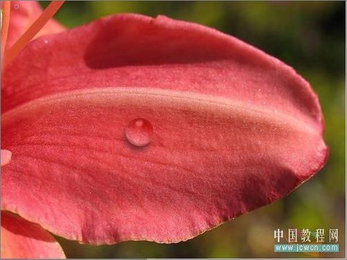 photoshop輕松繪制樹葉上的露珠_網頁設計webjx.com整理