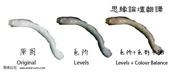 photoshop照片合成:樹妖纏身的女孩_webjx.com